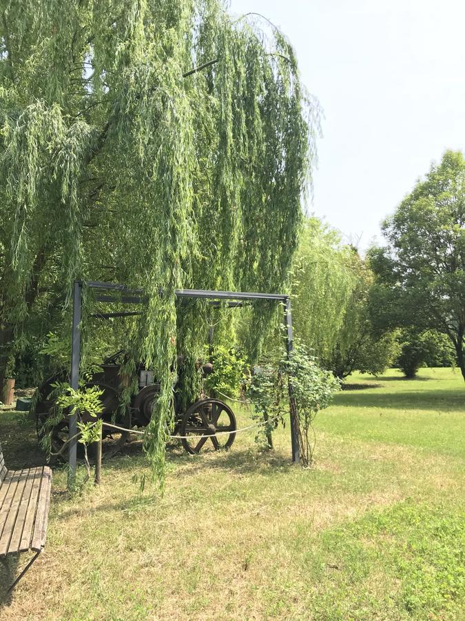 فندق بونتي سول مينشيوفي  Agriturismo Corte Salandini المظهر الخارجي الصورة